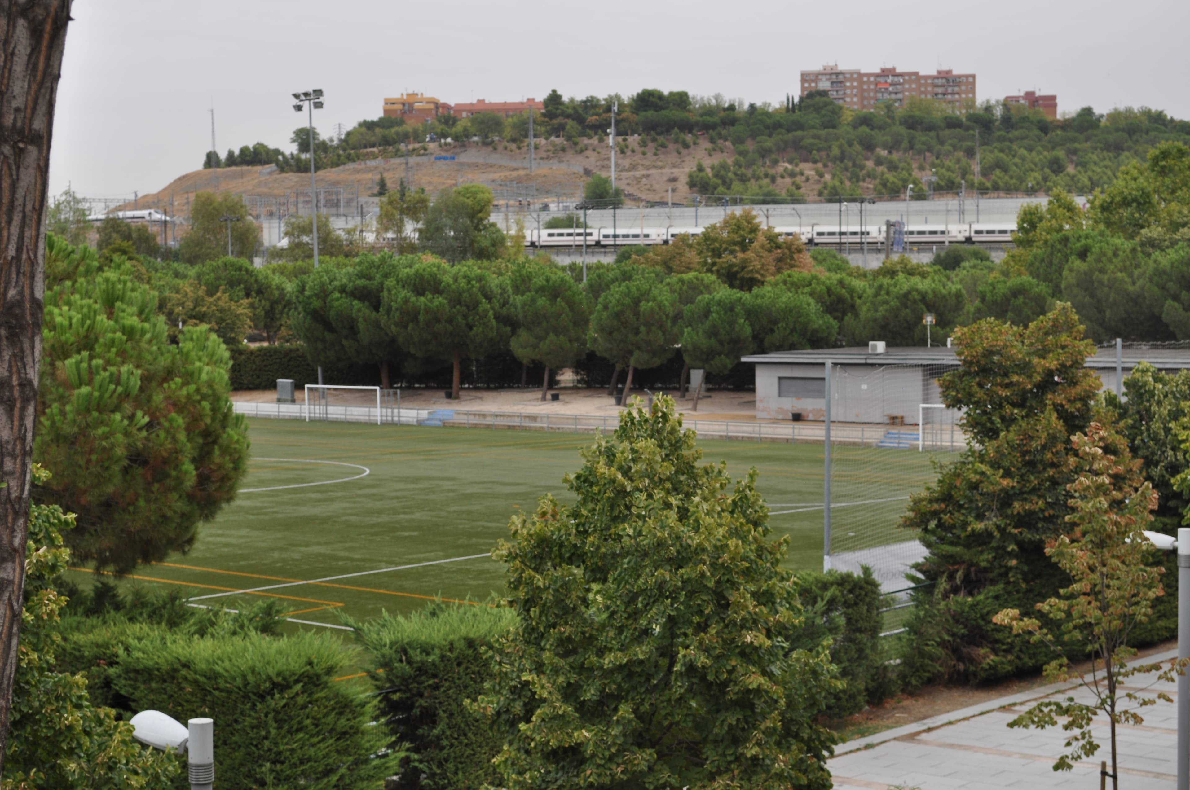 manzanares