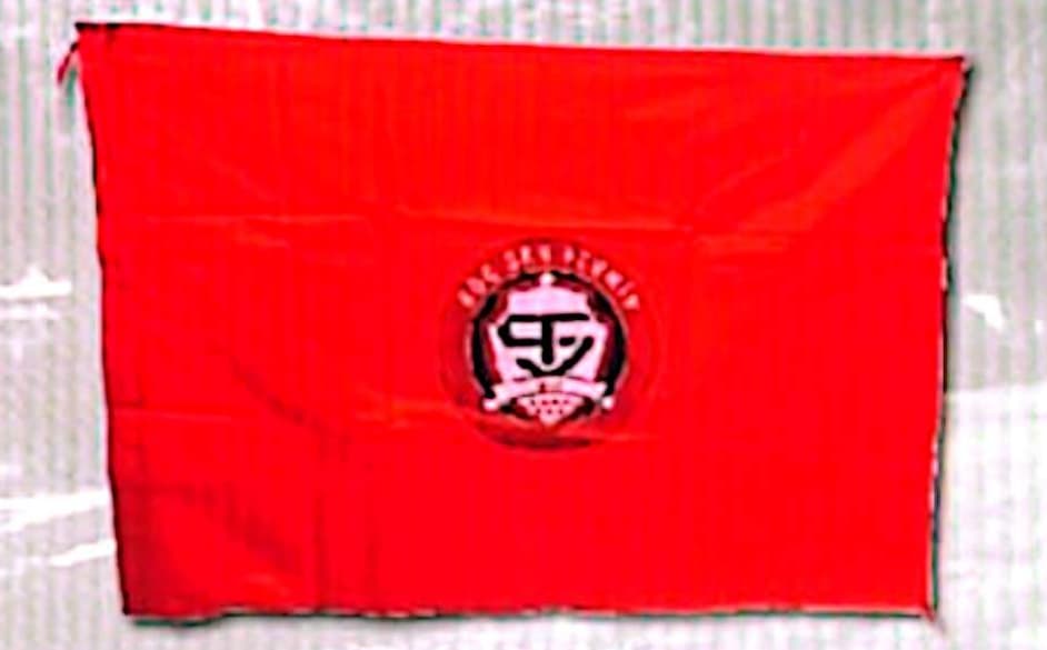 bandera del equipo